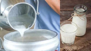 Raw Milk Dangers: Why Unpasteurized Dairy Poses a Significant Health Risk