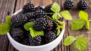 Blackberries: The Tiny Superfood Packed with Antioxidants, Boosting Heart Health, and Regulating Blood Sugar