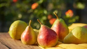 Pear Power: Unveiling the Health Benefits of Babugosha, From Immunity Boosts to Diabetes Management
