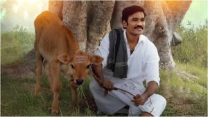 Dhanush's 'Idli Kadai' Heads to OTT: Netflix Reportedly Secures Streaming Rights After Theatrical Run