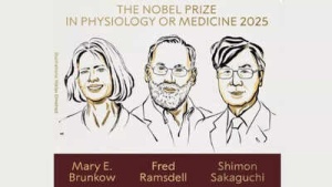 Nobel Prize in Medicine 2025 Honors Immune Tolerance Pioneers: Brunkow, Ramsdell, and Sakaguchi Recognized for Breakthrough Discoveries