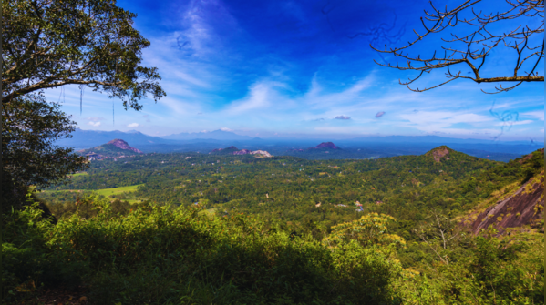Lakkidi Gateway, haunted by the spirit of a betrayed tribal man