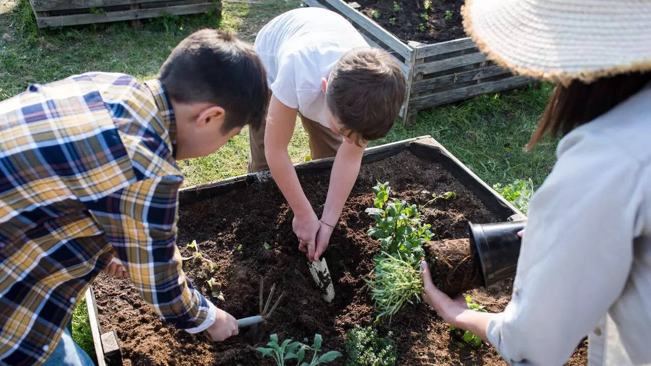 Soil preparation for monsoon crops