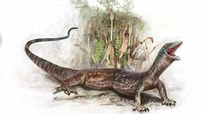 167-million-year-old fossil of Breugnathair elgolensis reveals how snakes first evolved from lizards