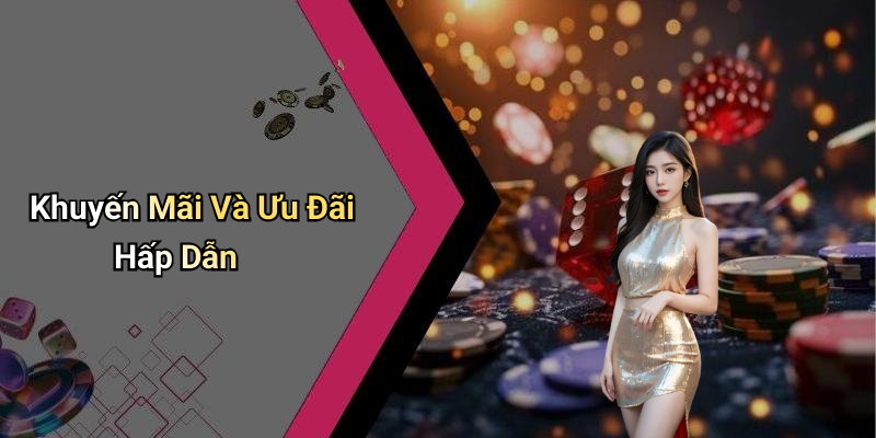 Khuyến Mãi Và Ưu Đãi Hấp Dẫn