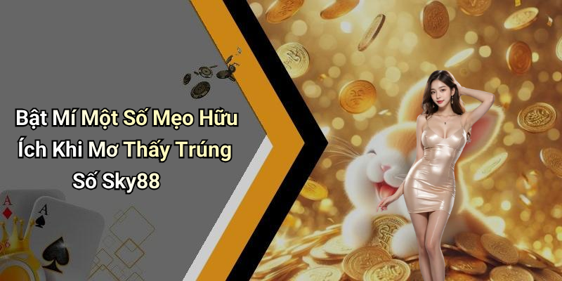 Bật Mí Một Số Mẹo Hữu Ích Khi Mơ Thấy Trúng Số Sky88