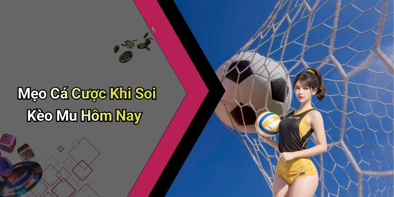 Mẹo Cá Cược Khi Soi Kèo Mu Hôm Nay